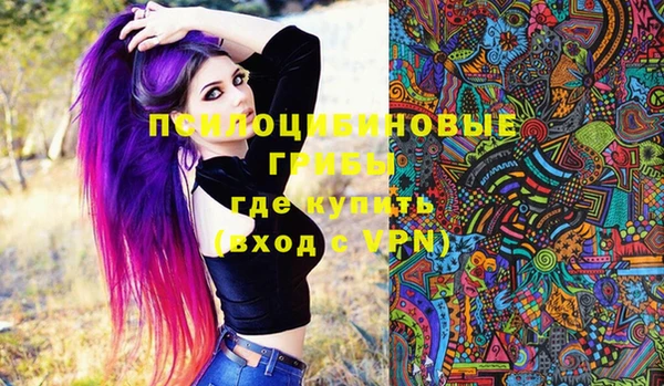 хмурый Кодинск