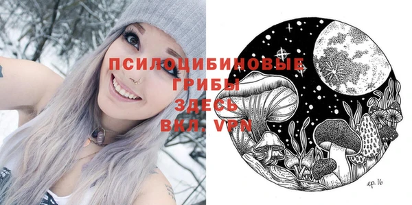 ALPHA PVP Кинешма