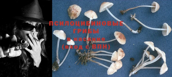 мяу мяу мука Киренск