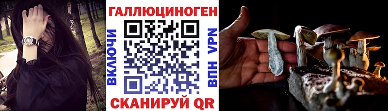 shop клад  Людиново  гидра зеркало  Псилоцибиновые грибы GOLDEN TEACHER  где купить наркотик 