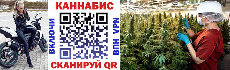мориарти какой сайт Людиново Бошки Шишки планчик